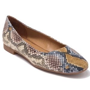 Steve Madden - Danni- Printed Flats 🐍